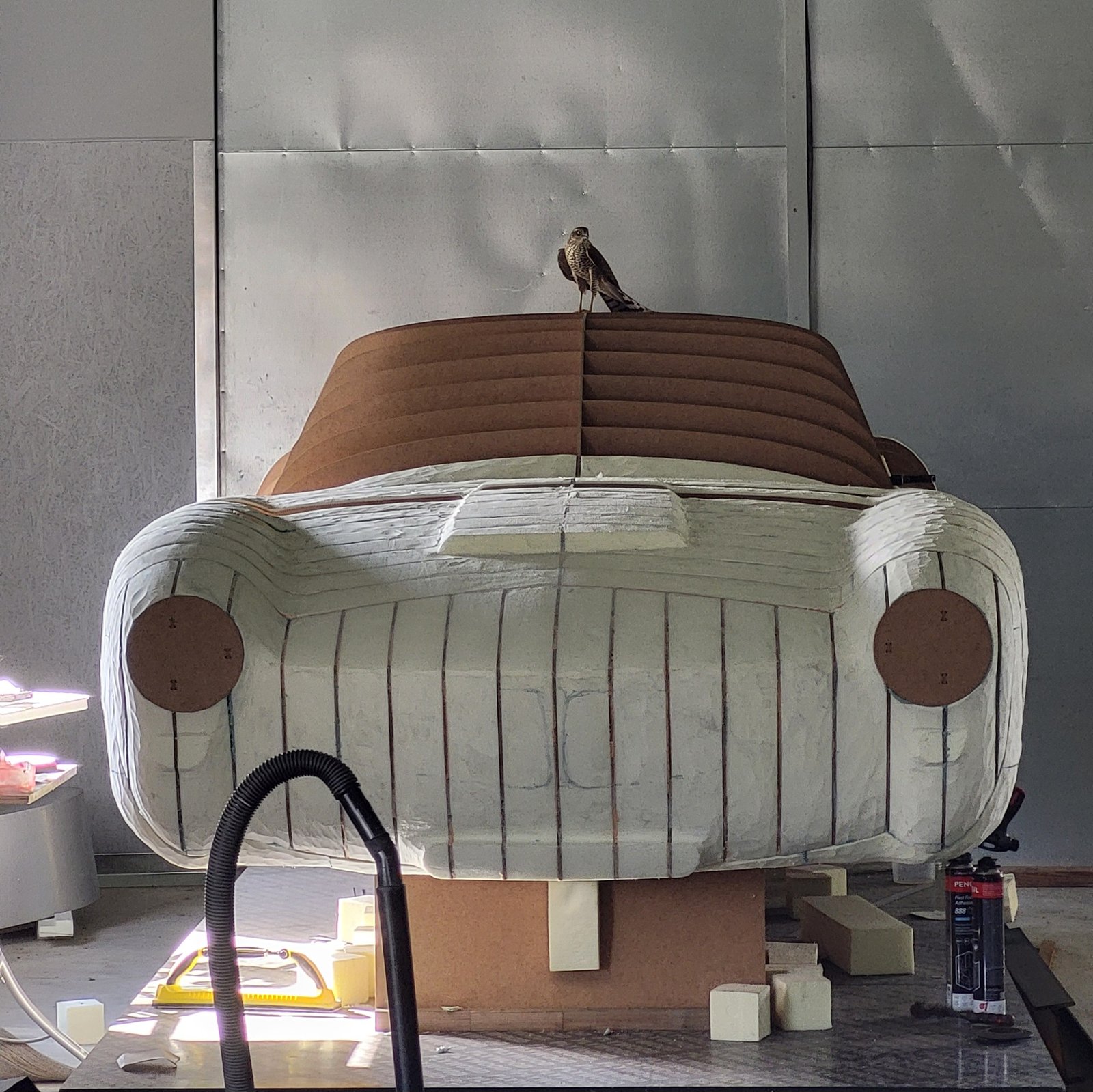 A hawk came to assess the lines of the V10 Coupe.